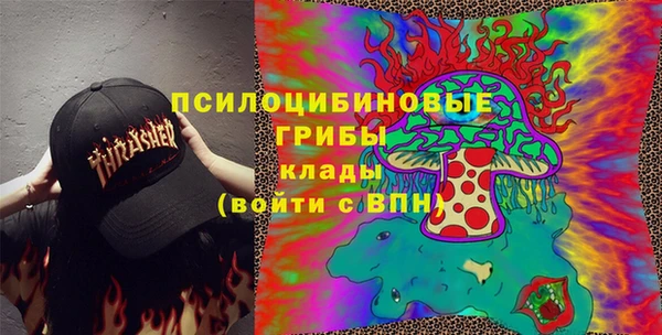 PSILOCYBIN Бородино