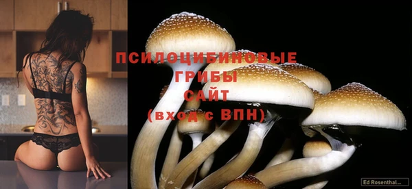 MDMA Беломорск
