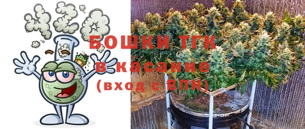PSILOCYBIN Бородино