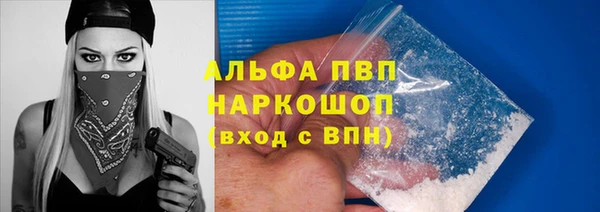 дживик Аша