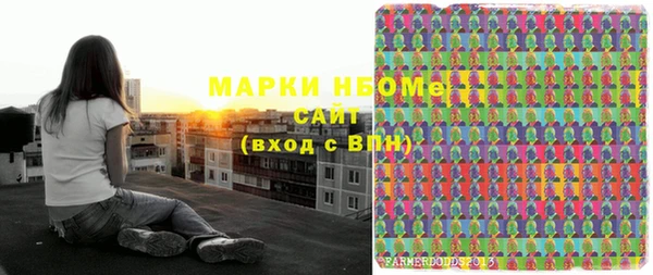 PSILOCYBIN Бородино