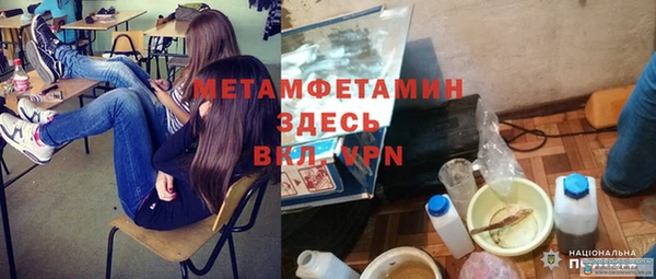 PSILOCYBIN Бородино