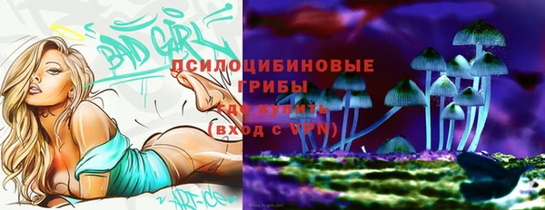 PSILOCYBIN Бородино